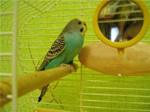 blog-8630-1218051425_thumb.jpg
