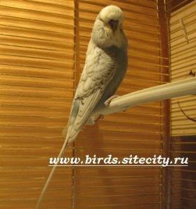 blog-8844-1239987853_thumb.jpg