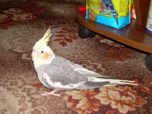 blog-9197-1201440715_thumb.jpg
