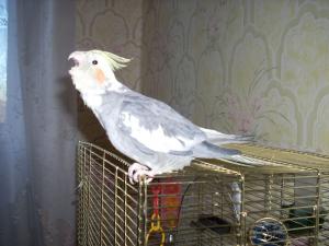 blog-9197-1201440857_thumb.jpg