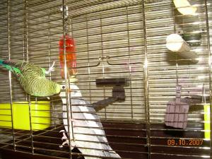 blog-9197-1201441265_thumb.jpg