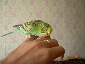 blog-9197-1201441729_thumb.jpg