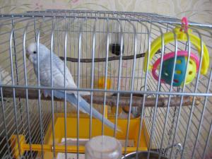 blog-9197-1202131224_thumb.jpg