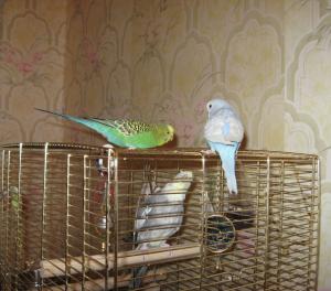 blog-9197-1202767842_thumb.jpg