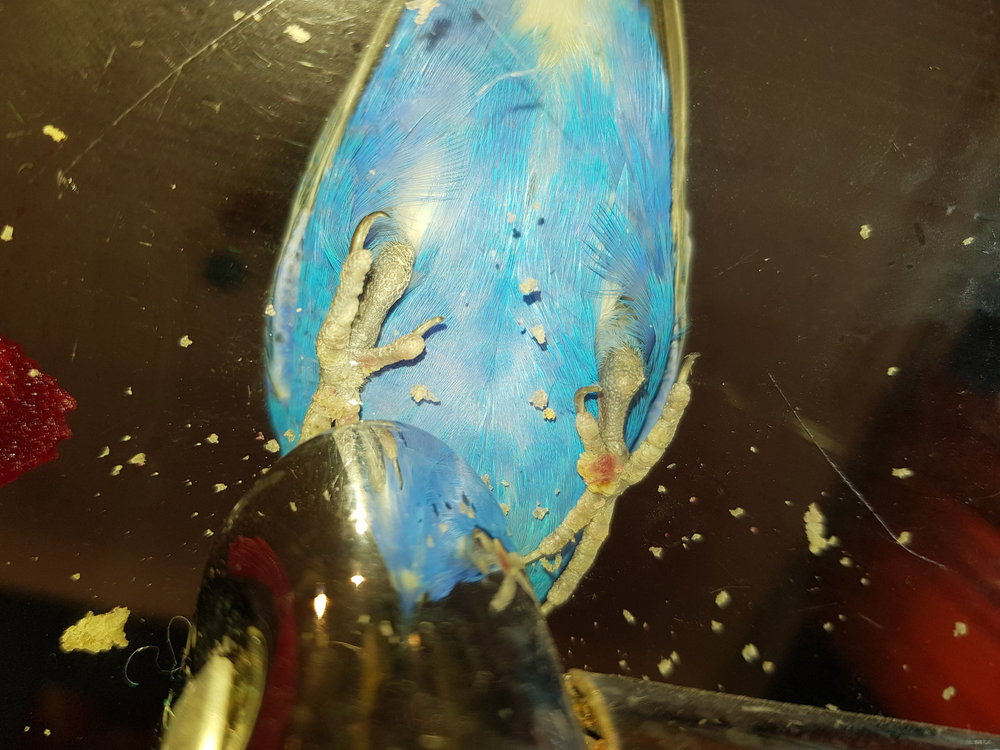 20171222_090707.jpg