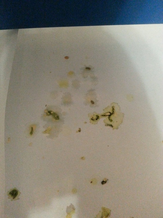 20171226_161253.jpg