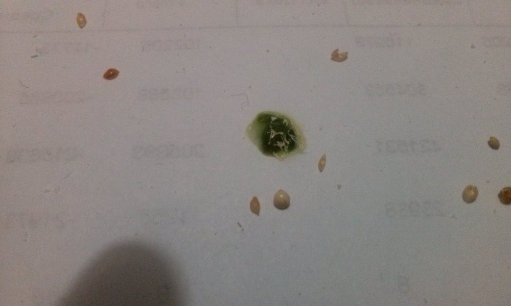 20171229_150739.jpg
