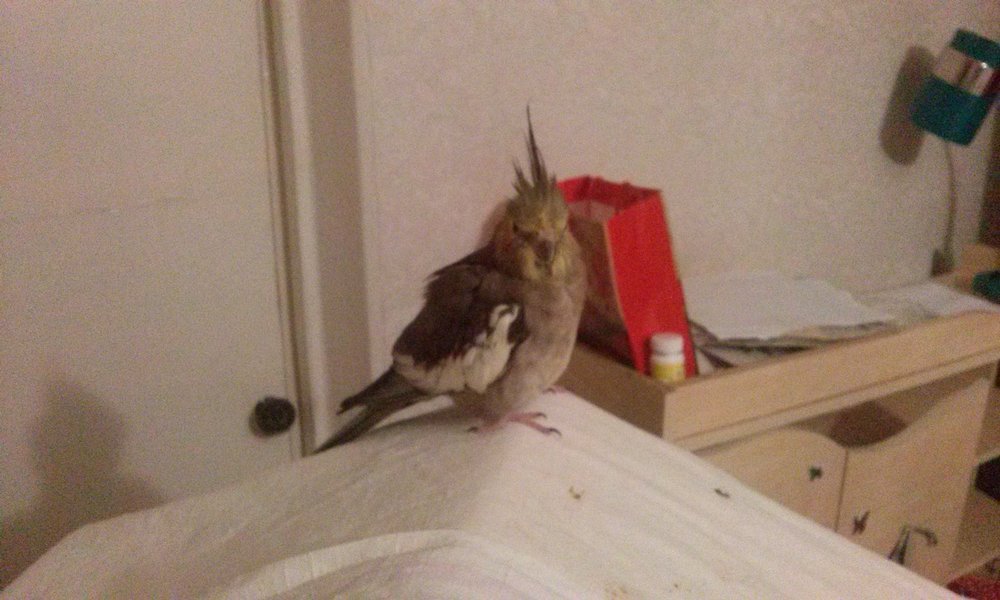 20171229_152829.jpg