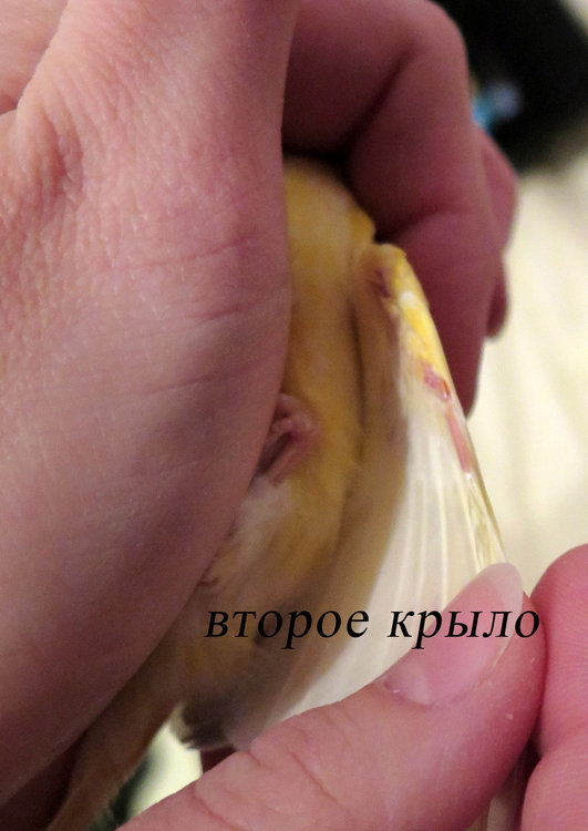 IMG_1206.jpg