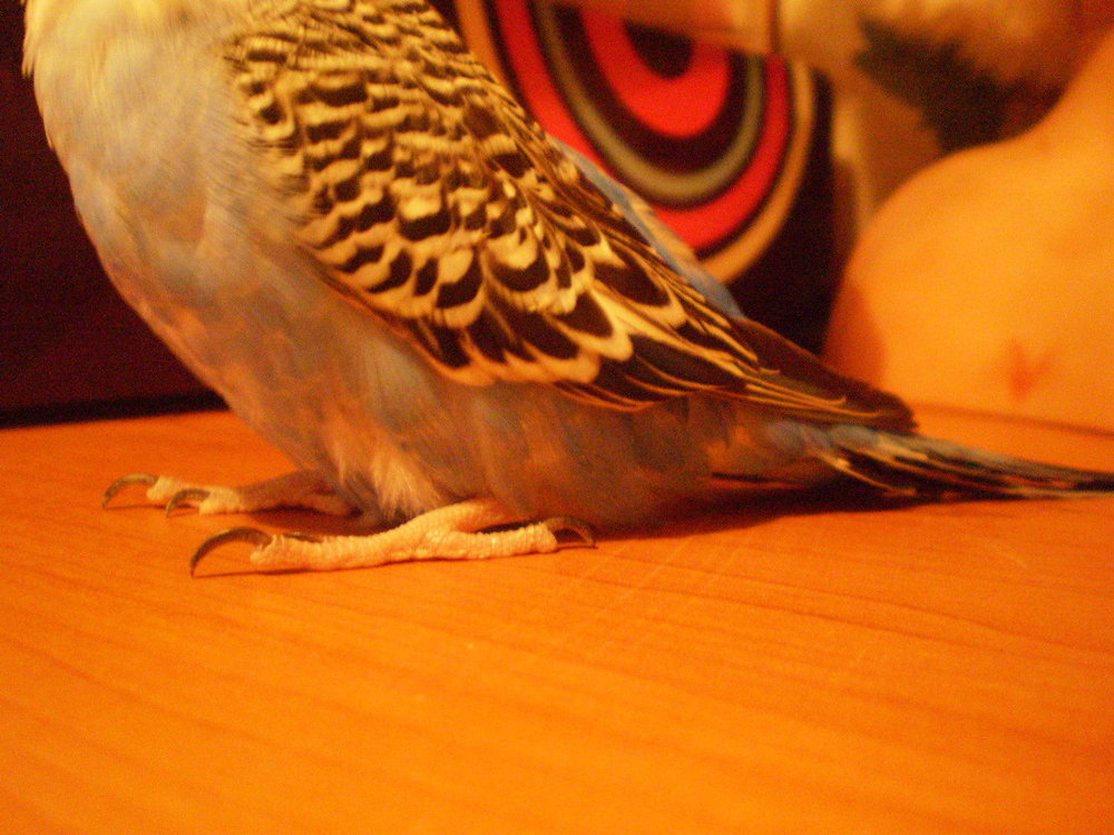 PC142649.thumb.JPG.64013dd1bee03084c57d430941089425.JPG