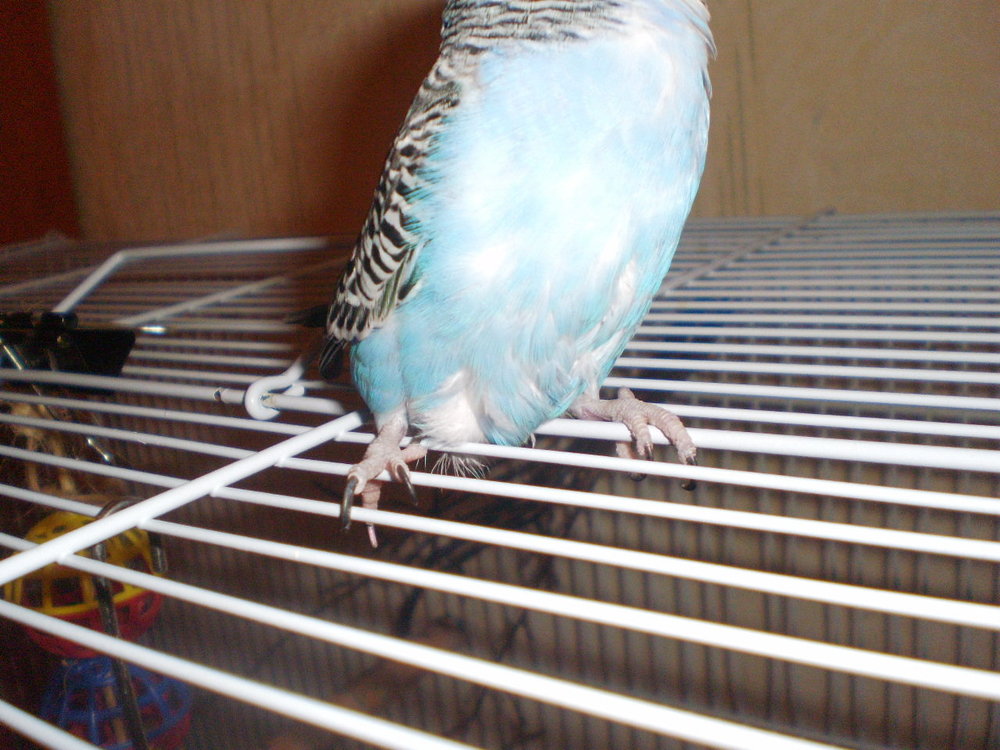 PC152654.JPG