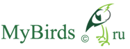 Форумы Mybirds.ru - все о птицах