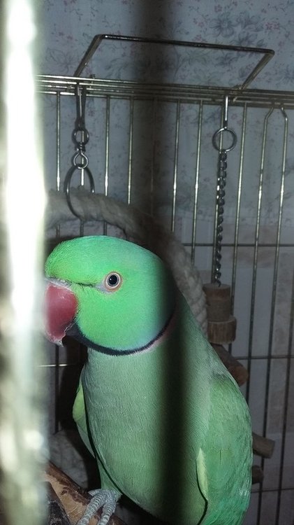 20180110_212040.jpg