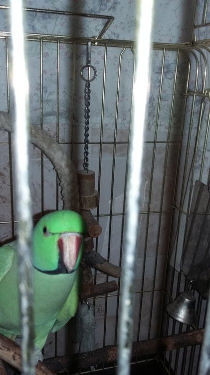 20180110_212144.jpg