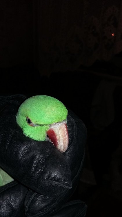 20180110_212428.jpg