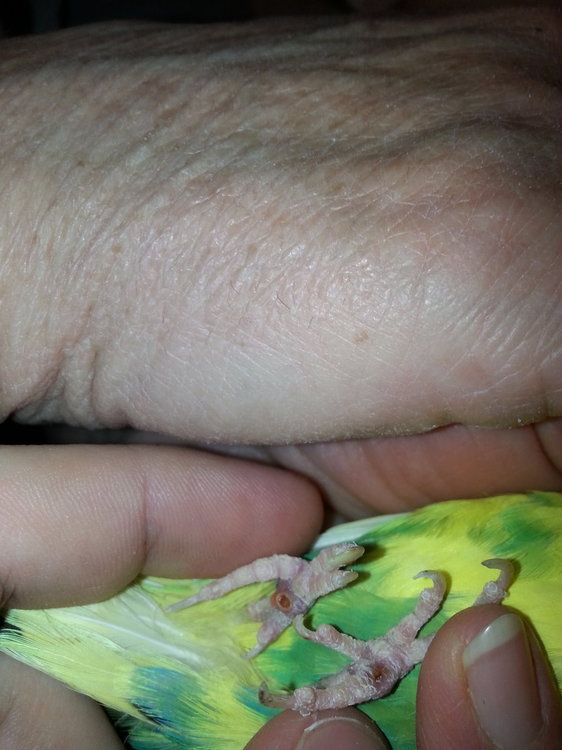 20180126_214713.jpg