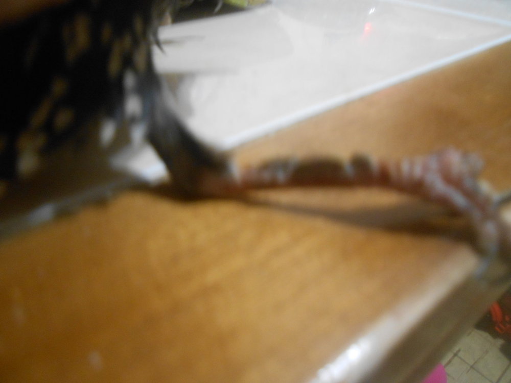 DSCN5071.JPG