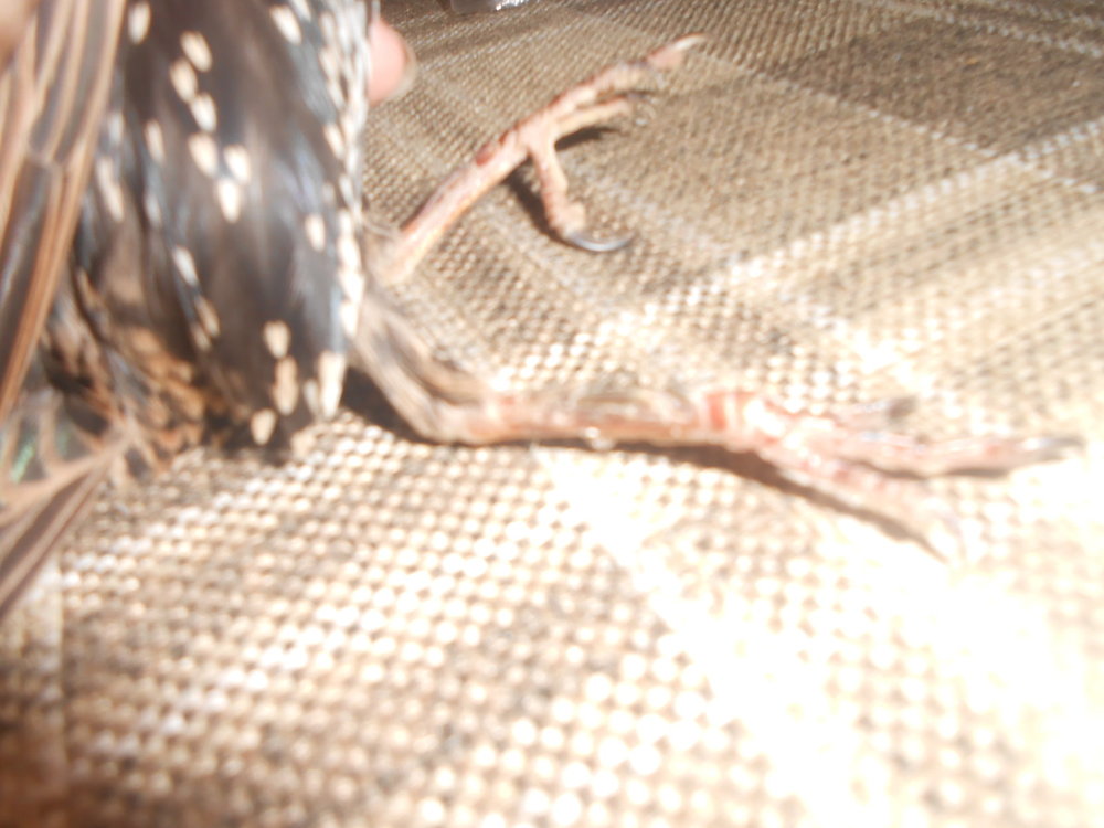 DSCN5075.JPG