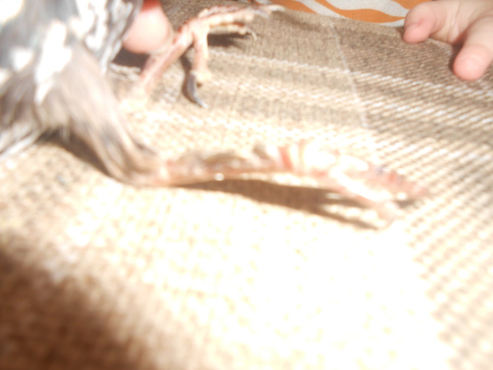 DSCN5077.JPG