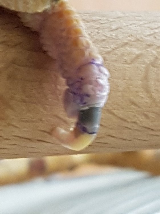 20180205_092342.jpg