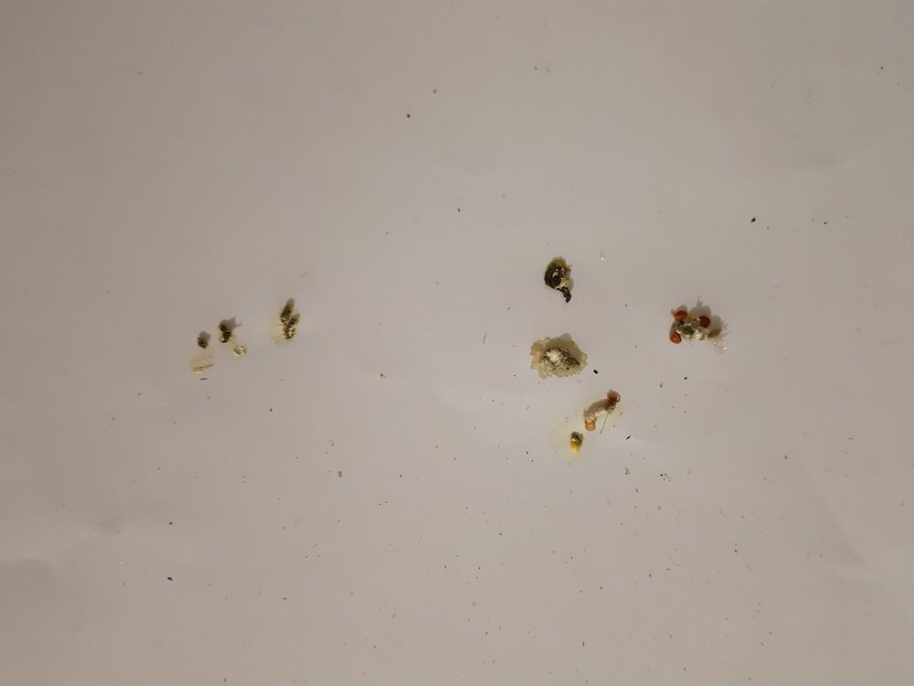 20180207_215113.jpg