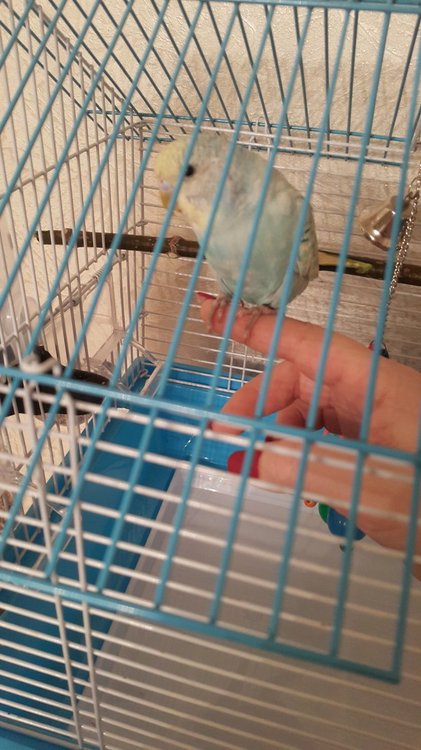 20180209_201143.jpg