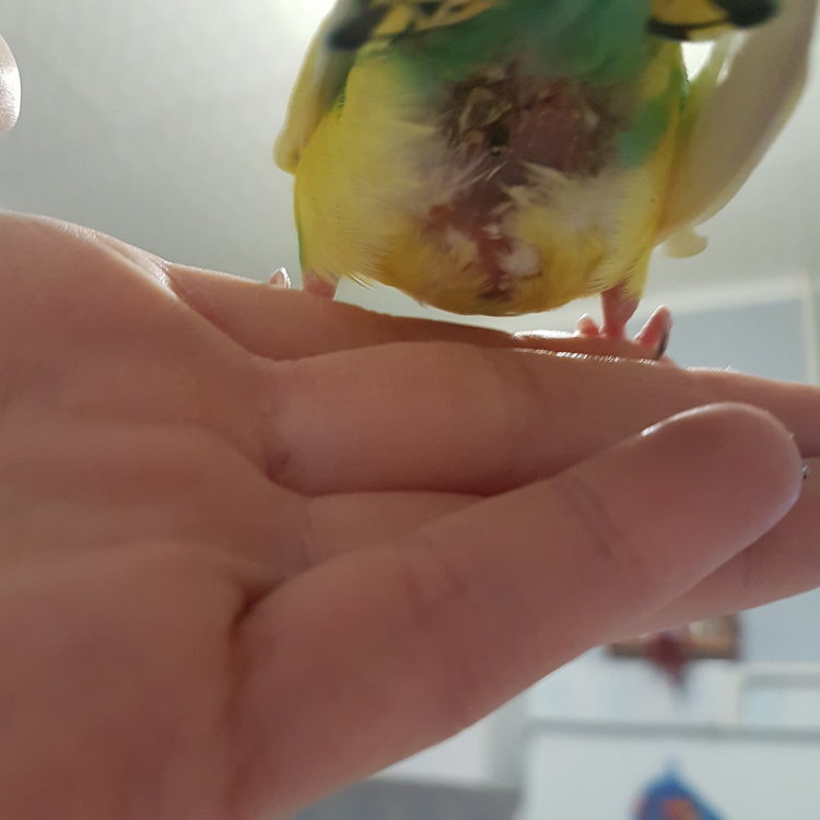 20180213_211834.jpg