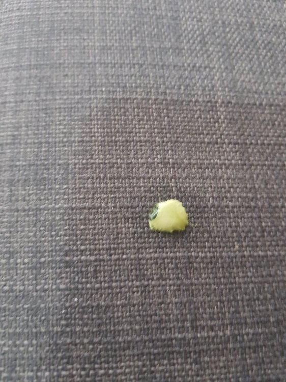 20180217_135719.jpg