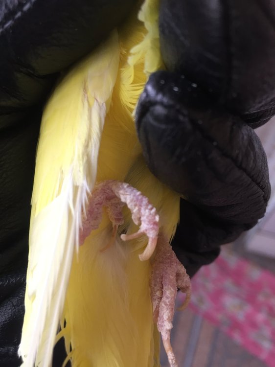 941971E3-FBBB-4936-A51D-1E6039634960.jpeg
