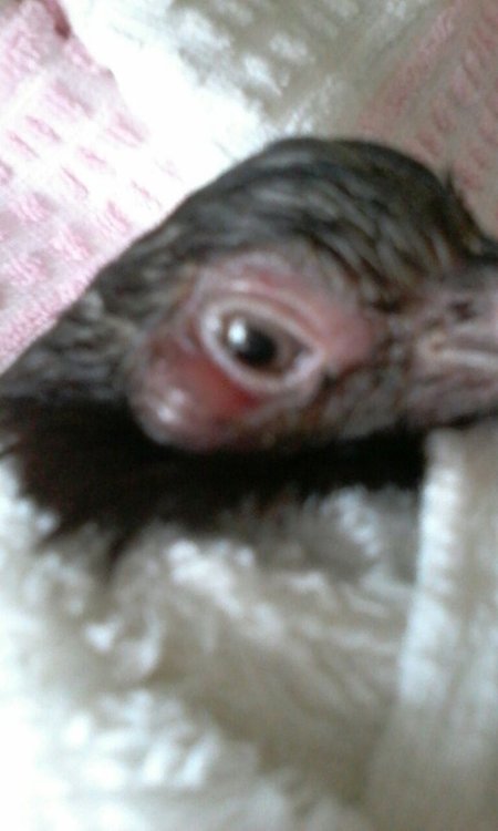 IMG-20180203-WA0003.jpg