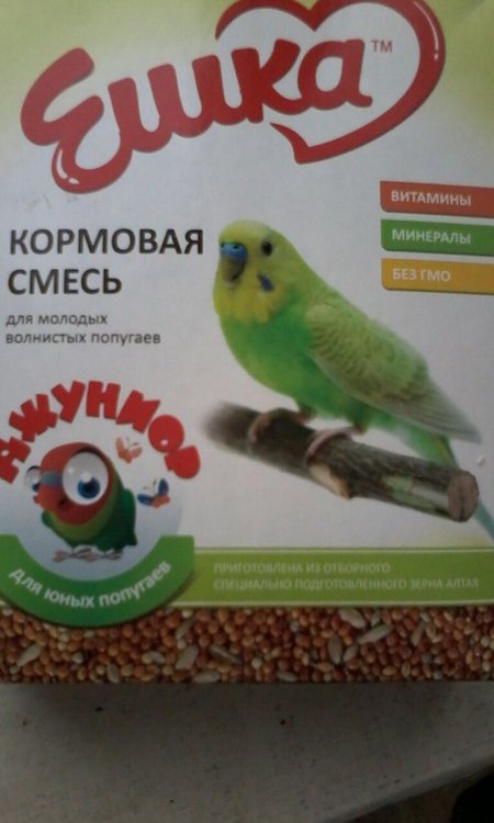 IMG-20180203-WA0007.jpg
