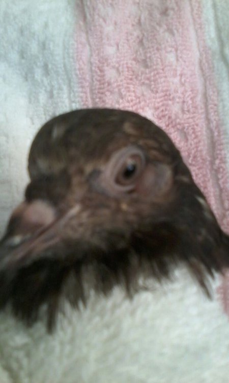 IMG-20180212-WA0003.jpg