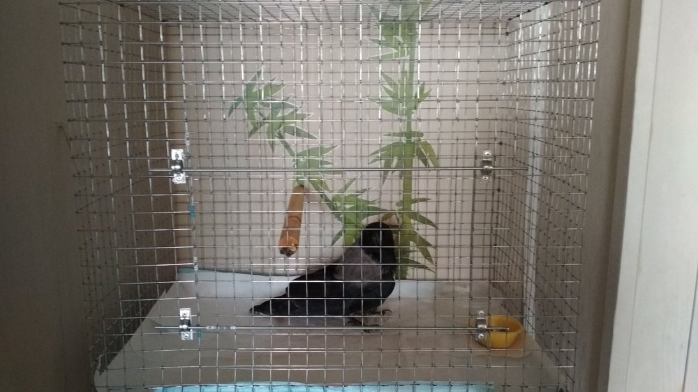 IMG-20180223-WA0004.jpeg