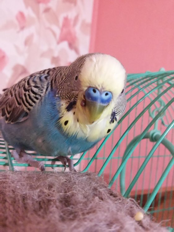 20180306_202239.jpg
