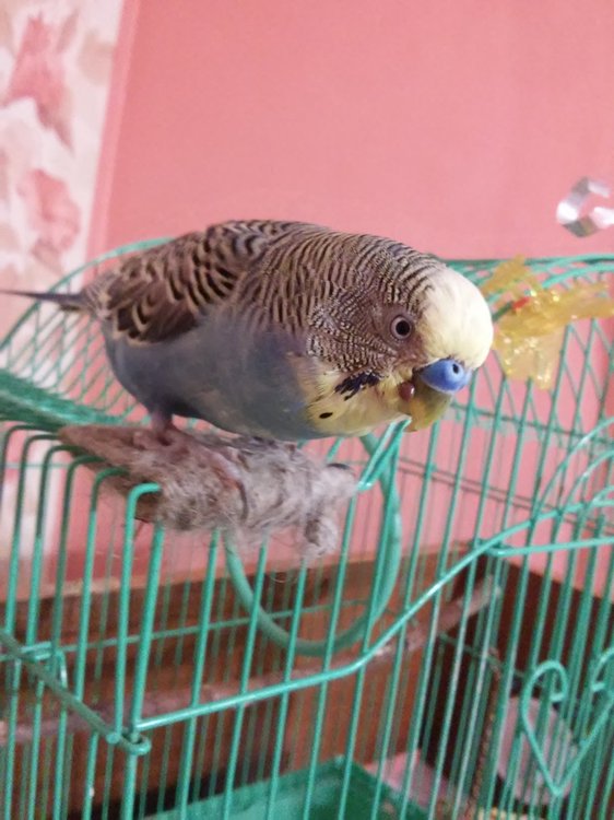 20180306_205114.jpg