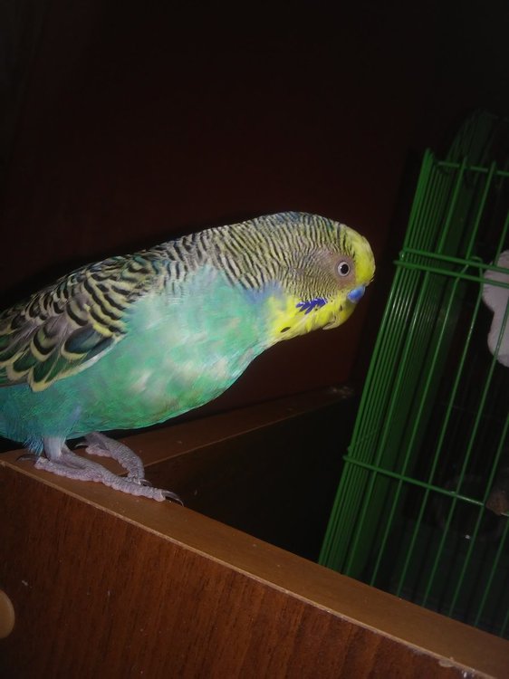20180308_224642.jpg
