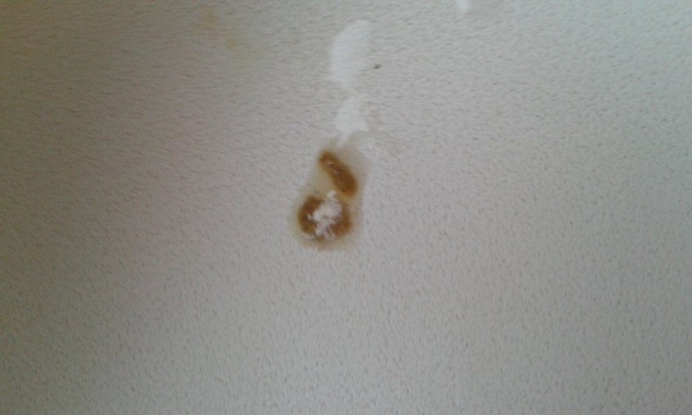 20180310_162015.jpg