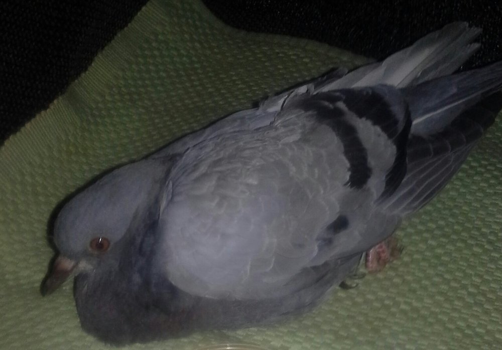 20180317_145310-1.jpg