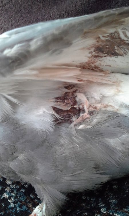 20180320_144352.jpg