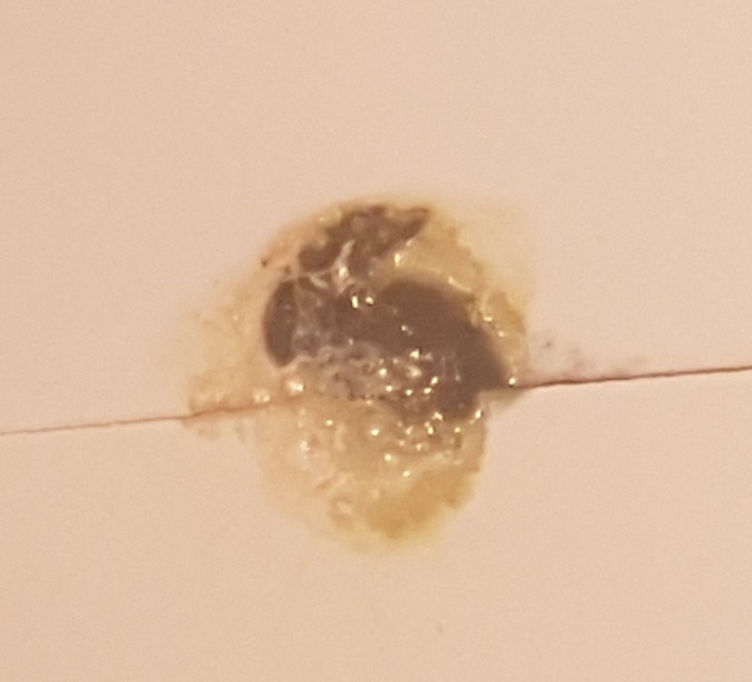 20180323_115809.jpg