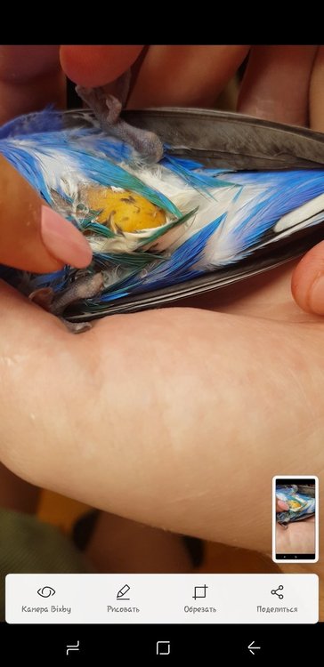 Screenshot_20180310-145357_Video Player.jpg