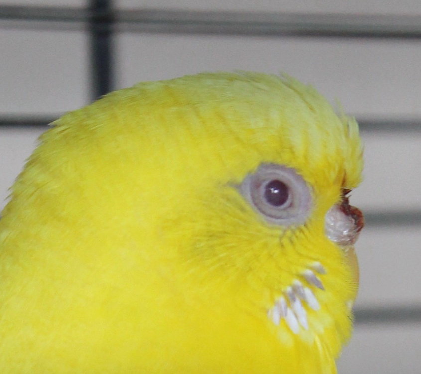 DPP_0001.JPG