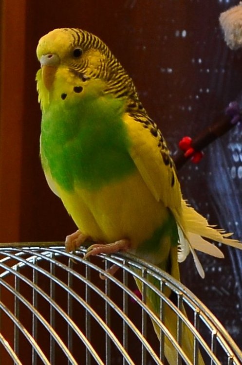 DSC_0637.JPG
