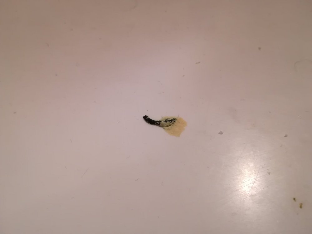 IMG_20180328_195240.jpg