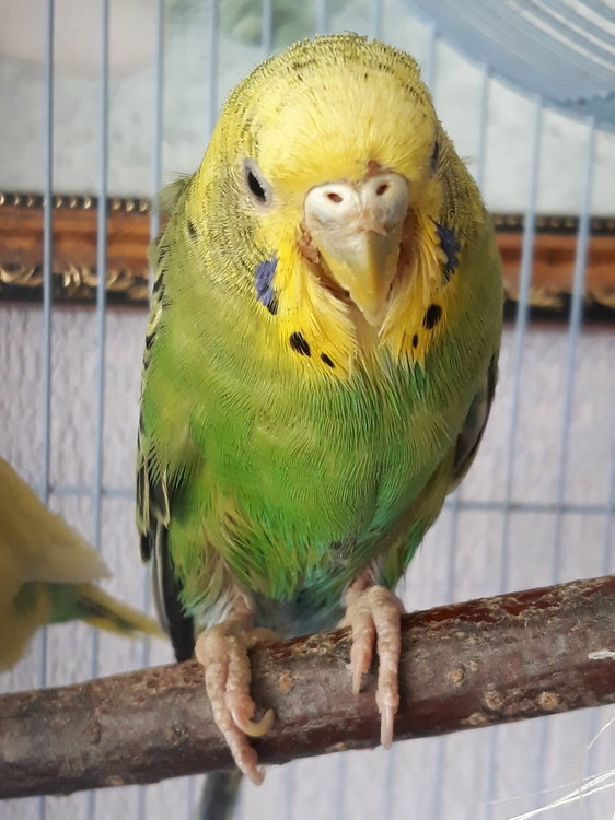 20180403_091237.jpg