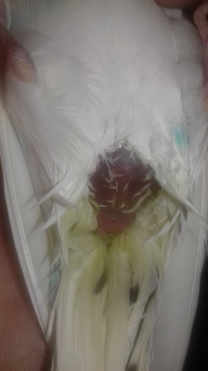 20180405_185026.jpg