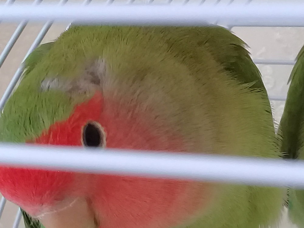 20180408_111931.jpg