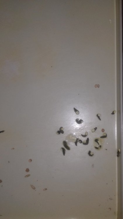 20180410_183014.jpg