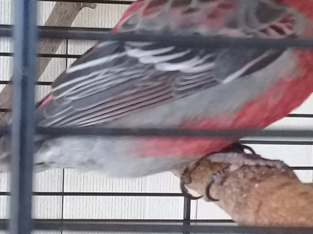 20180428_080101.jpg
