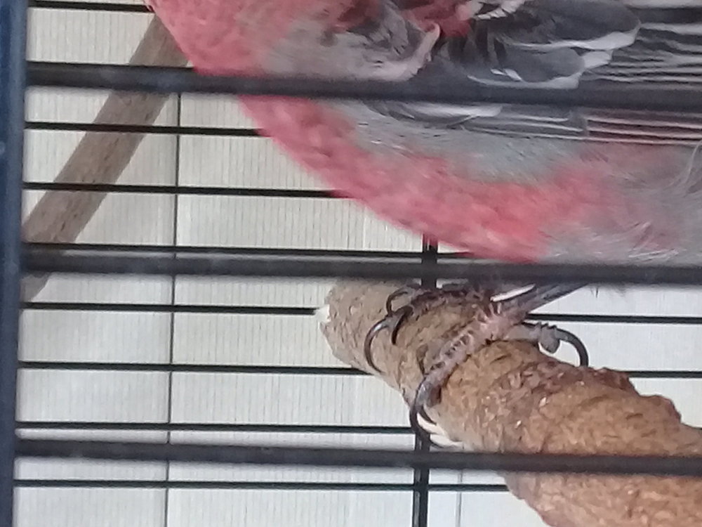 20180428_080111.jpg